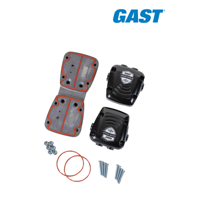 Gast SSP-87R6-02 Biased Valve Kit 87R at Kinequip